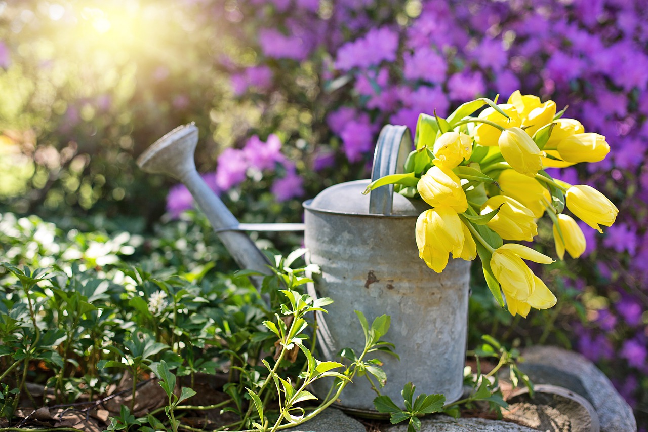 spring flowers and watering can